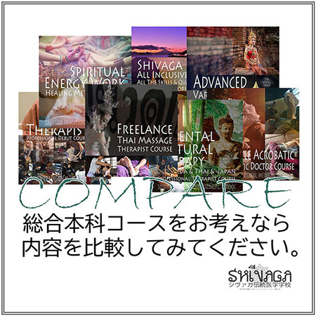 総合本科コース比較