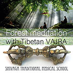 森に溶け込む瞑想＆チベットバジュラ瞑想