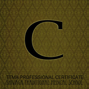 TTMA C級資格