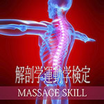 解剖学・運動学検定